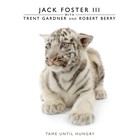 Picture for song 'Lucky Ones' by artist 'Jazzraptor'