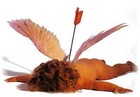Picture for song 'cupidaintogot sh**' by artist 'jbuf beatz on demand'