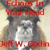 Picture for song 'Echoes In Your Head' by artist 'jeff w godin'