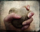 Picture for song 'heart of stone' by artist 'jemima's kite'
