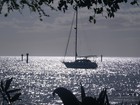 Picture for song 'Kahealani' by artist 'Jerry Sullivan'