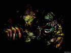 Picture for song 'Some Rock sh***' by artist 'Jig Saw'