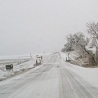 Picture for song 'Smother The Earth' by artist 'Jimi Sweeney'