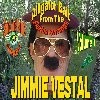 Picture for song 'Big Beautiful Women Know How To Strut Their Stuff' by artist 'Jimmie R Vestal'