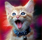 Picture for song 'Outter Limits' by artist 'Jinn Mustaffa'