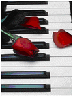 Picture for song 'The Beauty Of The Rose' by artist 'Jody Dickey'