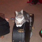 Picture for song 'Meet Me at the Stairs' by artist 'Joe Wrabek'