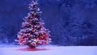 Picture for song 'Waiting For Christmas' by artist 'JOGO1209'