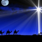 Picture for song 'Following the Star' by artist 'Johan Van Den Bossche'