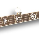 Picture for song 'Clinch Mtn. Backstep - Living Room Pickin'' by artist 'Johnny Fenlayson'