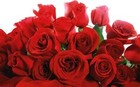 Picture for song 'Remembering momma tonight 423837' by artist 'Juanita Ford Publishing'