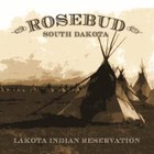 Picture for song 'Living On the REZ' by artist 'June Bug 605'