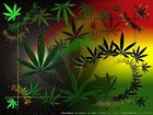 Picture for song 'weed talk' by artist 'juniorreddz876'