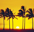 Picture for song 'A Song of Old Hawaii' by artist 'Kaleo Naea'
