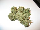 Picture for song 'Smoke tha Kush' by artist 'Kali Kingz'