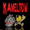 Picture for song 'jerry springer' by artist 'Kameltow(us)'