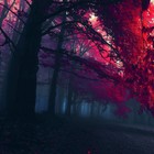 Picture for song 'DARKNESS (Free D/L)' by artist 'kamillabeats'