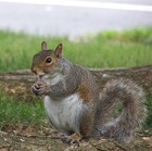 Picture for song 'Why Can't You (ft Stigmata)' by artist 'Kaotic'