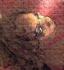 Picture for song 'Xpanded' by artist 'Keet Duk'