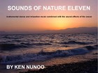 Picture for song 'SOUNDS OF NATURE ELEVEN' by artist 'Ken Nunoo'
