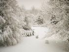Picture for song 'String Quartet: A Suite of Seasons: Winter' by artist 'KE Peace (USA)'
