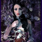 Picture for song 'Seven Angles Seven Plaques' by artist 'Killing Moon'