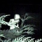 Picture for song 'Revolution' by artist 'KingSenzi'