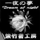 Picture for song 'Dream at night' by artist 'Kin'sRoo'