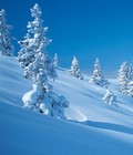 Picture for song 'The Winter is Here Again' by artist 'Klaatu (CT)'