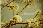 Picture for song 'Remember' by artist 'Klassik Dorse Music'