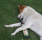 Picture for song 'Tipsy and Wonderful' by artist 'Konkrete (ky)'