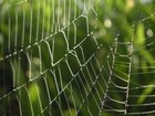 Picture for song 'Spun A Web' by artist 'KoNMurK'zZ'