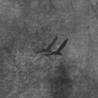 Picture for song 'POSTIN - FREE DOWNLOAD' by artist 'KrackaTraxxx'