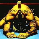 Picture for song 'Contact Sport FREE D/L' by artist 'KraterrMuzik'