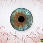 Picture for song 'Pack of Loud' by artist 'KrissiO'