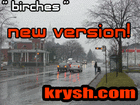 Picture for song 'birches' by artist 'krysh'