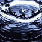 Picture for song 'Curious' by artist 'lacrimm'