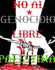 Picture for song 'FREEDOM PALESTINA 268095' by artist 'Lady M la reina del verso'