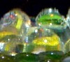 Picture for song 'Made of Glass' by artist 'Larry Ludwick'
