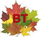Picture for song 'Autumn Leaves BT' by artist 'Larsa'