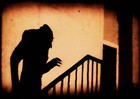 Picture for song 'Your Shadow Follows Me' by artist 'Laura Torrespico'