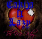 Picture for song 'Lazy ft Cakija - Tell Me Why' by artist 'LazyOfficial'