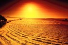 Picture for song 'I'd Cross The Desert - Ft. Lil One' by artist 'Ldy Lickem'