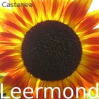 Picture for song 'Wasser' by artist 'Leermond'