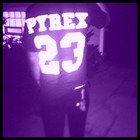 Picture for song '(NEW) Pyrex 23 | 2013' by artist 'LEXI BANKS'