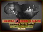 Picture for song 'Burning to Babylon con Gonzalez Selektah' by artist 'Lion Nativo'