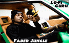 Picture for song 'Faded Jungle' by artist 'LoFi Guru'