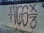 Picture for song 'f*** The Haters' by artist 'Los Vagos 13'
