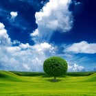 Picture for song 'Natural High' by artist 'LR Beatss'