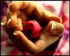 Picture for song 'True Love (Grant Starr collab)' by artist 'Lyricist Jillucky'